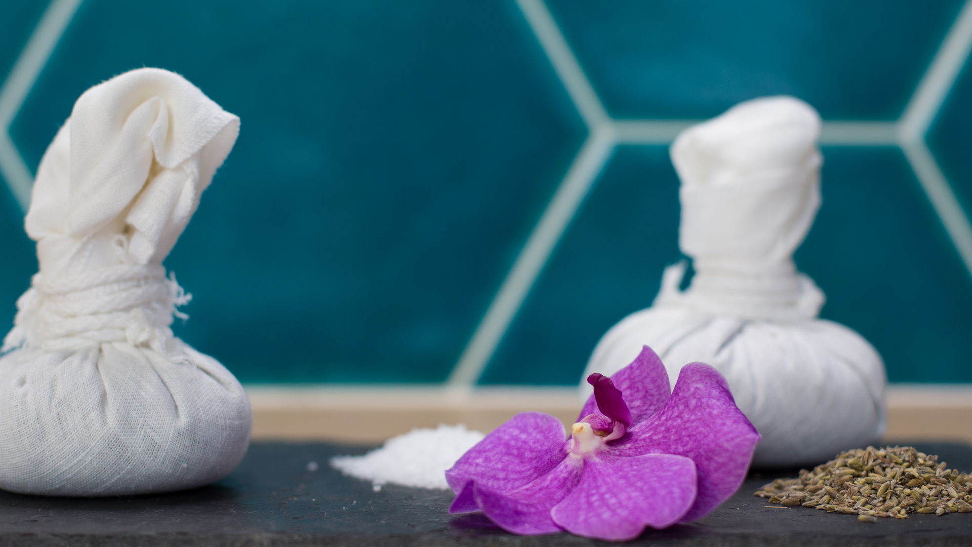 Cénoteplaisir - LYON